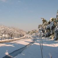David Nader Photo 15
