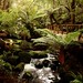 Gordon Rayner Photo 12