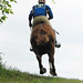 David Kieffer Photo 15