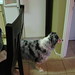 Tammy Patterson Photo 44