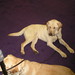 Colleen Winslow Photo 16