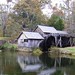 Patrick Ridge Photo 23