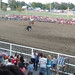 Janet Reavis Photo 14