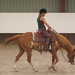 Mark Rashid Photo 7