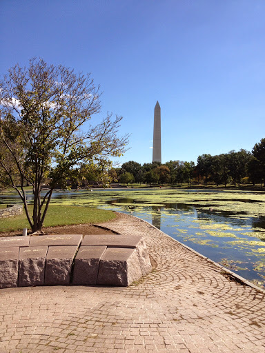 Debra Hunt Photo 27