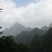 Ying Wang Photo 23