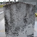 Thomas Knowles Photo 29