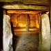 Robert Dolman Photo 6