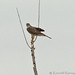 Kenneth Sharp Photo 10