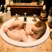 Susan Schaeffer Photo 41