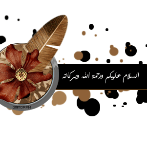 Mourad Mourad Photo 8