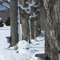 Deborah Locke Photo 17