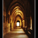 Carol Barbera Photo 4