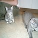 Cheryl Tubbs Photo 14