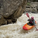 Forrest Noble Photo 11