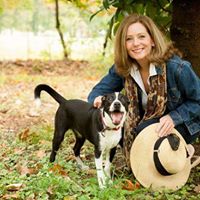 Cindy Chambers Photo 18