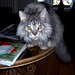 Marilyn Huck Photo 15