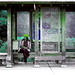 Christine Wait Photo 13
