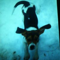 Kelly Karsten Photo 4