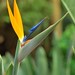 Richard Flowe Photo 6