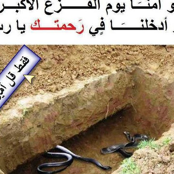 Mohammad Alkhatib Photo 6