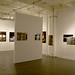 Cynthia Simon Photo 11