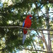 Mary Parrot Photo 6