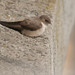 Martin Rocha Photo 11