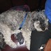 Cindy Bender Photo 25