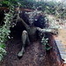 Marilyn Crouch Photo 10