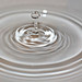 Ellis Sharp Photo 15