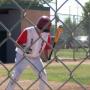Robert Forte Photo 6