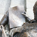Thomas Chamberlain Photo 11
