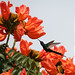 Linda Conway Photo 37