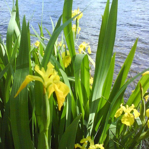Sally Barnes Photo 23