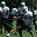Brandon Moore Photo 17