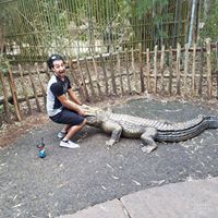 Diego Reyes Photo 16