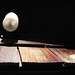 Richard Forman Photo 41