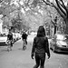 Michelle Lim Photo 21