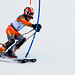 Steven Werner Photo 7