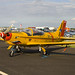 Steven Marchetti Photo 23