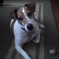 Paula Weldon Photo 7