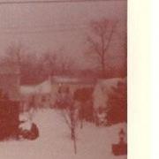 Mitchell Stillman Photo 12