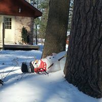 Susan Heckman Photo 26