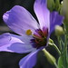 Lori Funk Photo 32