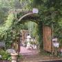 Debbie Goodwin Photo 24