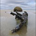 Stephen Sinclair Photo 15