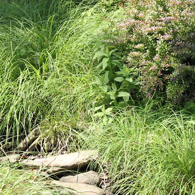 Janet Long Photo 29