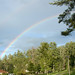 Barrington Simon Photo 11