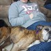 Stacey Sanders Photo 8